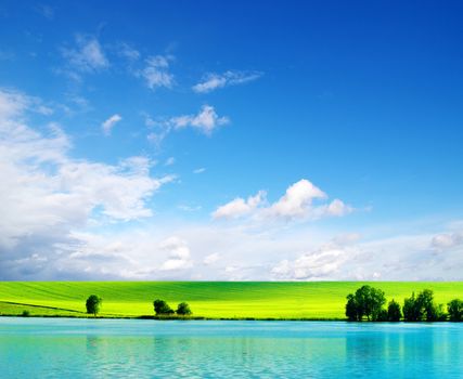 field on a background of the blue sky