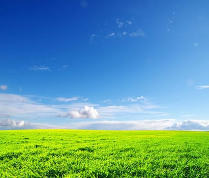 field on a background of the blue sky