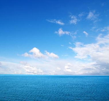 Exotic beach under a blue sky