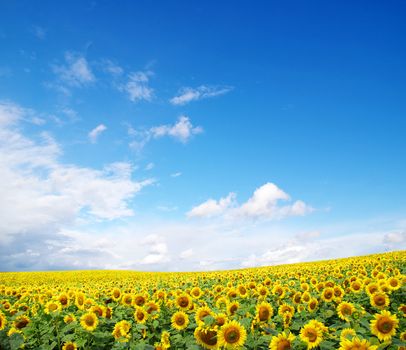 blue sky background with tiny clouds