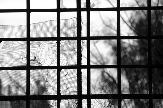 Broken window of an abandoned factory. Black and white.