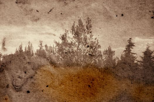 Vintage stained photograph of trees in forest. Abstract illustration.