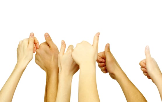 Many hand lifted up on white background