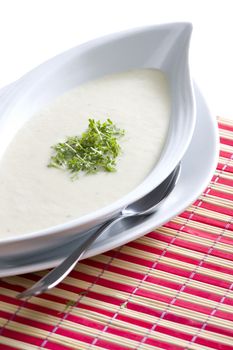 thick celery soup