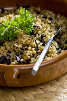 pot barley with mushrooms (called kuba - Czech meal)