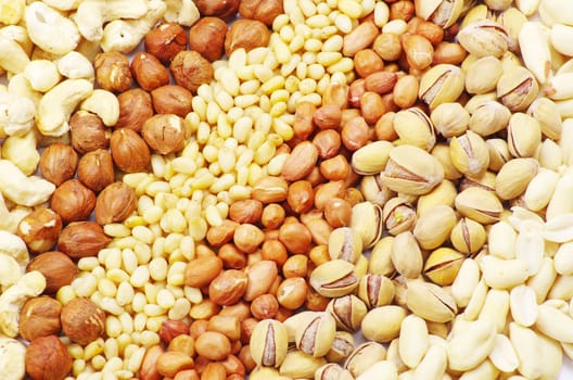 various nuts on a background