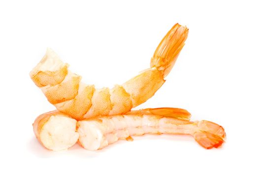 shrimp isolated ona white background