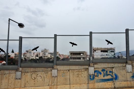 Decorative bird silhouettes on stained glass surface of highway traffic noise barrier.