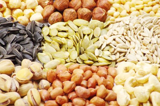  seeds and nuts with collection