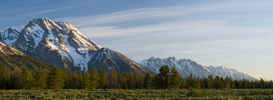 Mount Moran (left) and evergreen forest in early morning light, Grand Teton National Park, Teton County, Wyoming, USA