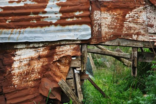 Country shack ruins covered by rusty aluminum sheeting.