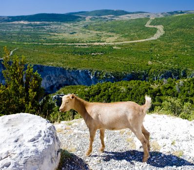 Verdon Gorge, Provence, France