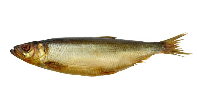 smoked herring isolated on a white background