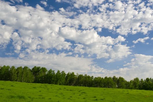 Green pasture, Quaking Aspens (Populus tremuloides) and clouds, Teton County, Idaho, USA