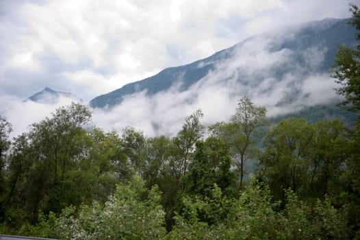 a peaceful scene, clouds between the mountains an the woods