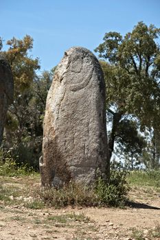 Decorated menhir in megalithic monument of Cromelech dos Almendres - Evora -Portugal