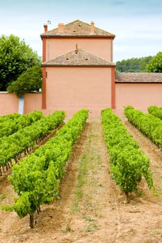 winery, D�partement Var, Provence, France