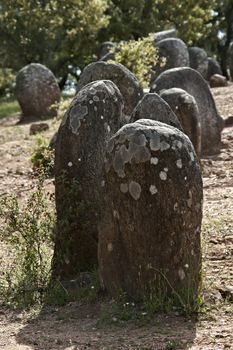 Menhirs in megalithic monument of Cromelech dos Almendres - Evora -Portugal