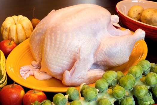 Thanksgiving Turkey Dinner Cooking Ingredients with Squash Apples Brussels Sprouts Pears and Potatoes on Kitchen Table