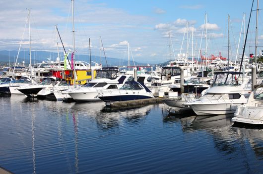 Yachts & sailboats moored in a marina in Vancouver BC. Canada.