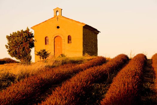 chapel with lavender field, Plateau de Valensole, Provence, France