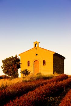chapel with lavender field, Plateau de Valensole, Provence, France