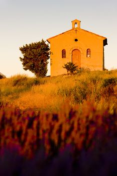 chapel with lavender field, Plateau de Valensole, Provence, France