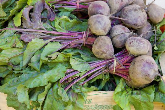 red beet, street market in Valensole, Provence, France