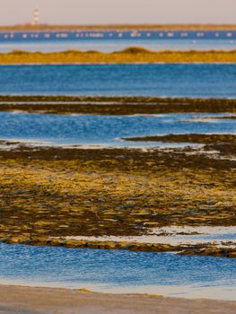Parc Regional de Camargue, Provence, France