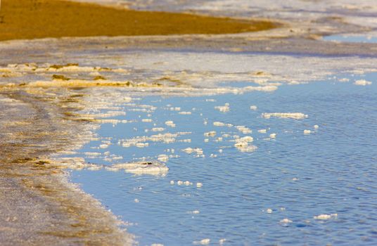 Parc Regional de Camargue, Provence, France