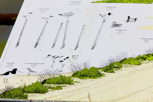 Parc Regional de Camargue, Provence, France