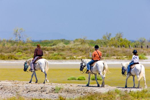horse riding, Parc Regional de Camargue, Provence, France
