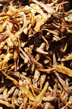 dried anchovies, a common ingredient in asia market, photos taken in philippines.
