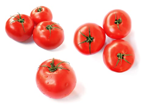 tomatoes on white background