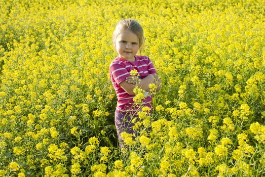 The beautiful child on a blossoming yellow meadow