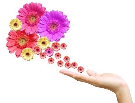 Woman's hand with flowers