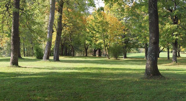 A park panorama & seasonal changes.