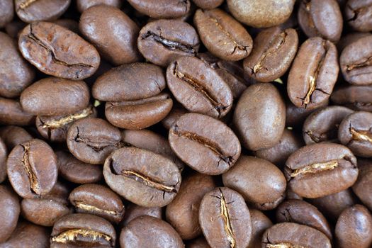 Brown coffee beans closeup as a background