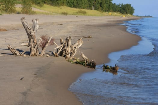 The Beach Long Point Provincial Park