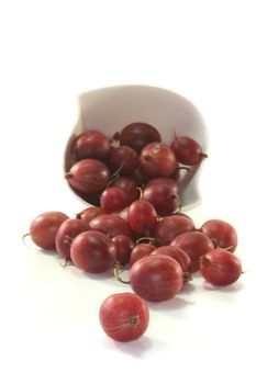 red gooseberries roll out of a bowl on a white background