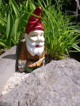 A garden gnome, standing behind a stone