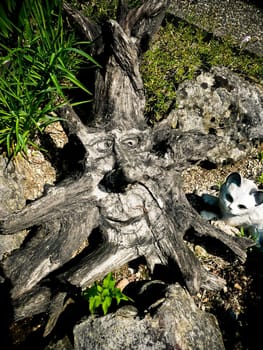 A funny tree root with a face