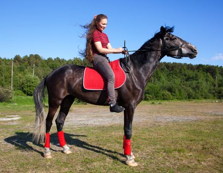 Beautiful girl with brown hair on a black horse against a blue sky and the forest