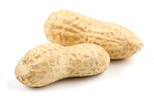 Macro shot of two peanuts on white background.