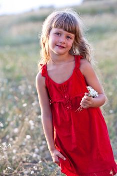 people series: little summer girl on meadow