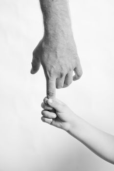 child hand hold by the adult hand
