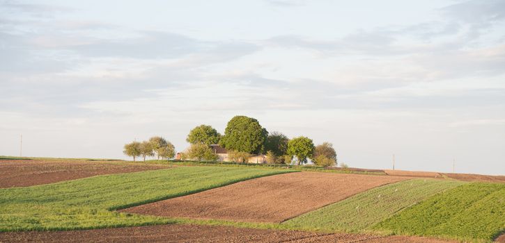 landscape series: summer view of