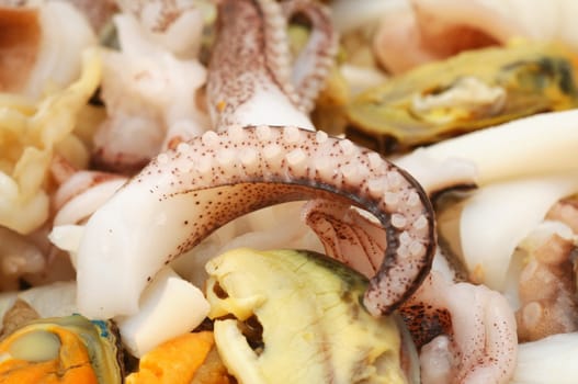 close-up of seafood