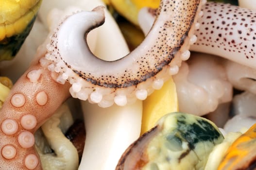 close-up of seafood