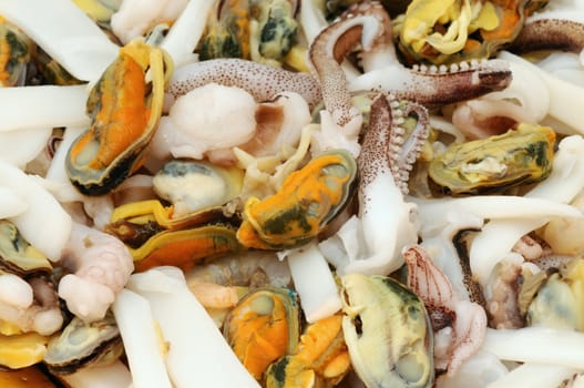close-up of seafood, food background